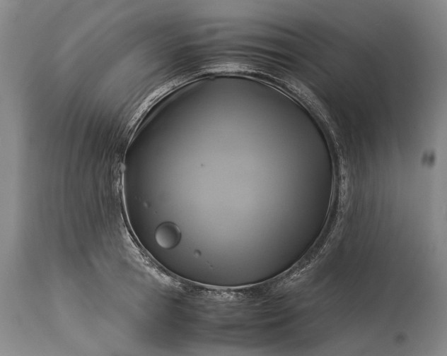 X0000115310945200911161718