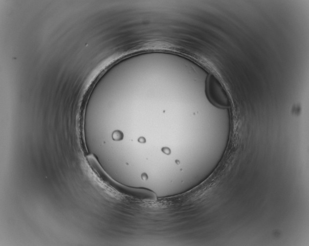 X0000115310947200911161718