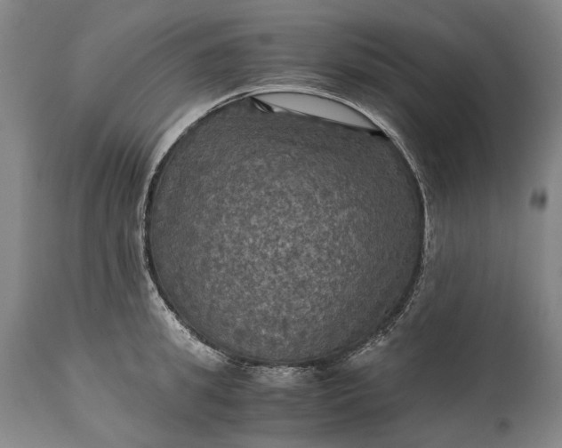 X0000115310949200911161718