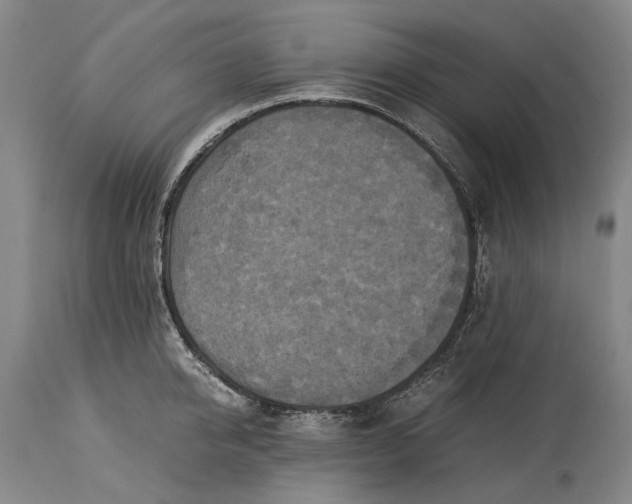 X0000115310950200911161718