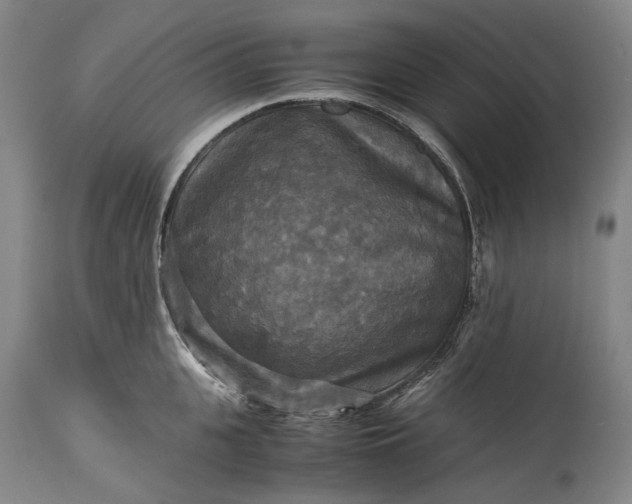 X0000115310951200911161718