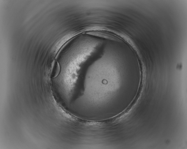 X0000115310953200911161718