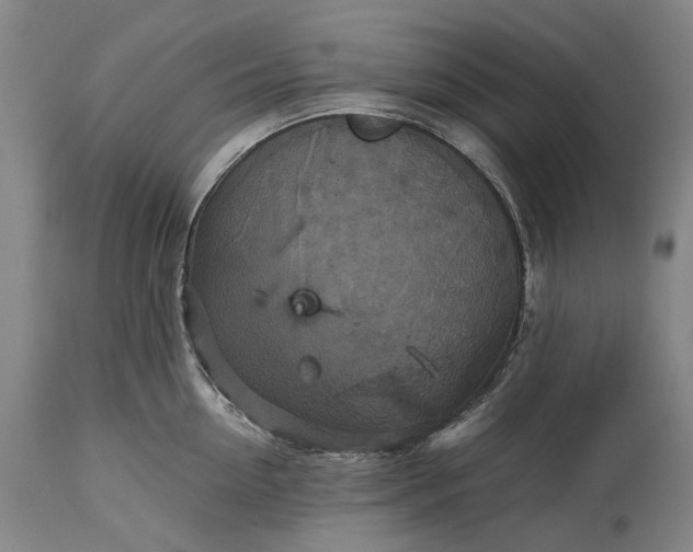 X0000115310954200911161718