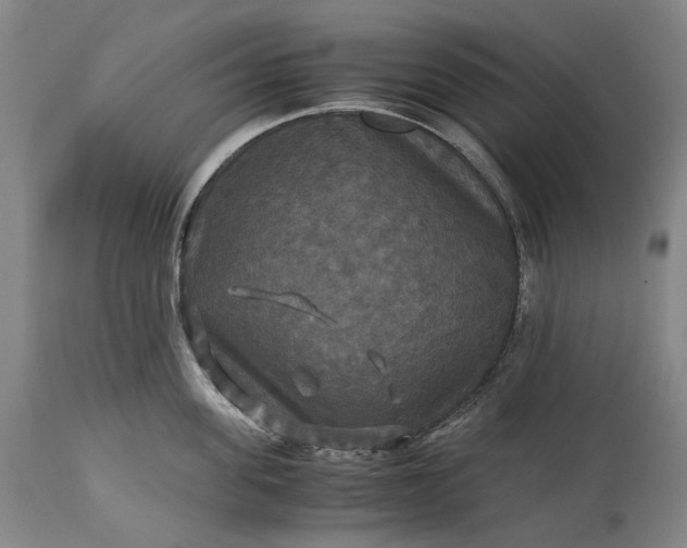 X0000115310955200911161718