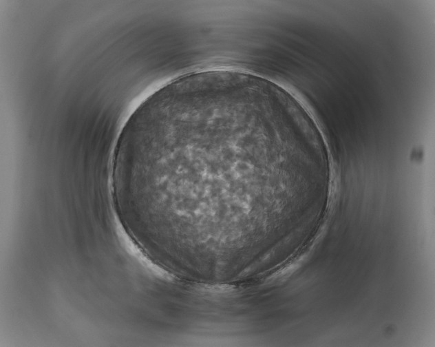 X0000115310957200911161718