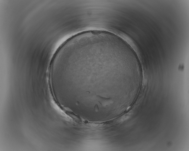 X0000115310958200911161718