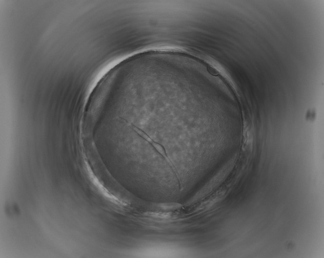 X0000115310959200911161718