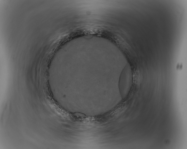 X0000115310961200911161717