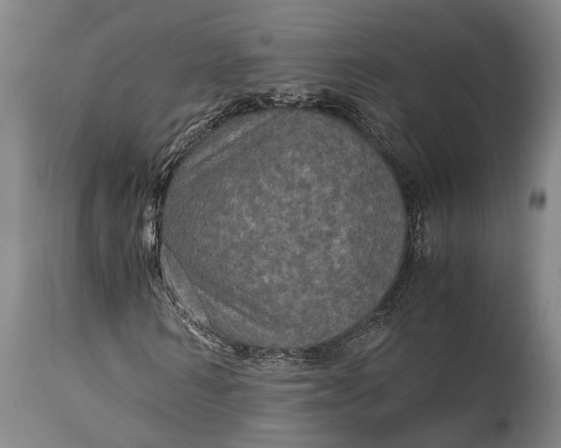 X0000115310962200911161717