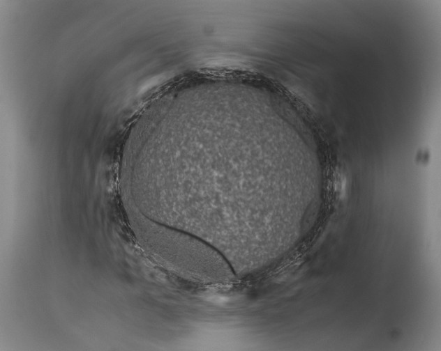 X0000115310965200911161717