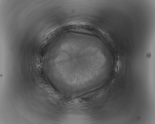 X0000115310966200911161717