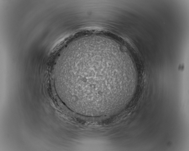 X0000115310967200911161717