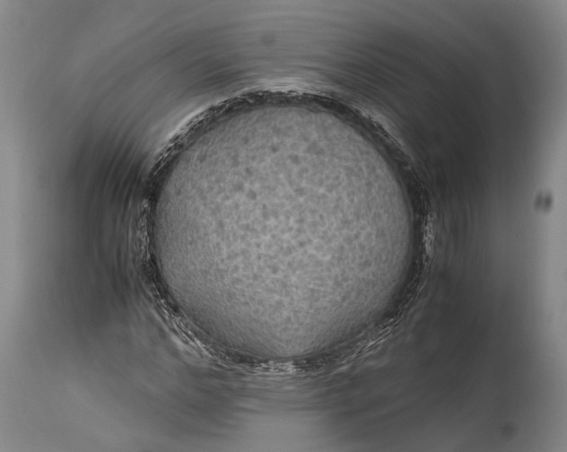 X0000115310968200911161717