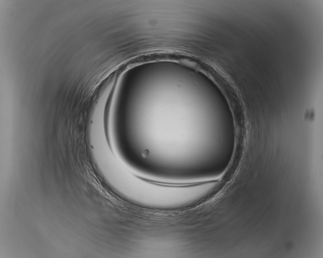 X0000115310969200911161717