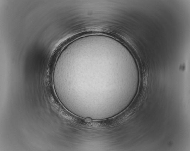 X0000115310971200911161717