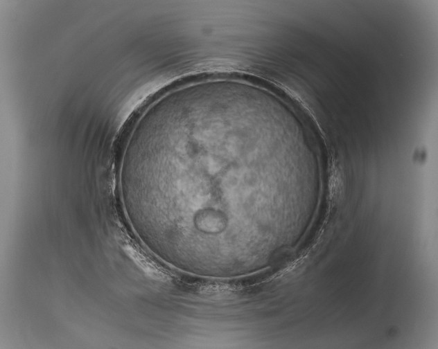 X0000115310973200911161717