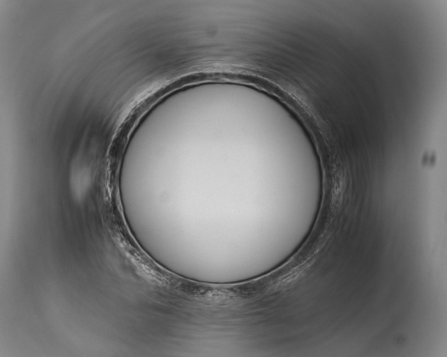 X0000115310974200911161717