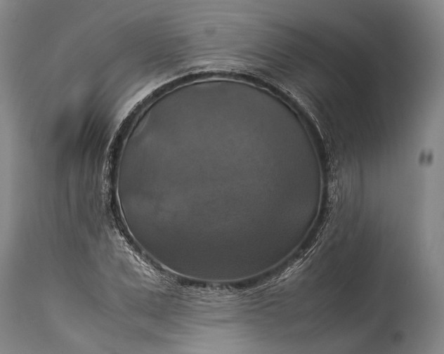 X0000115310975200911161717