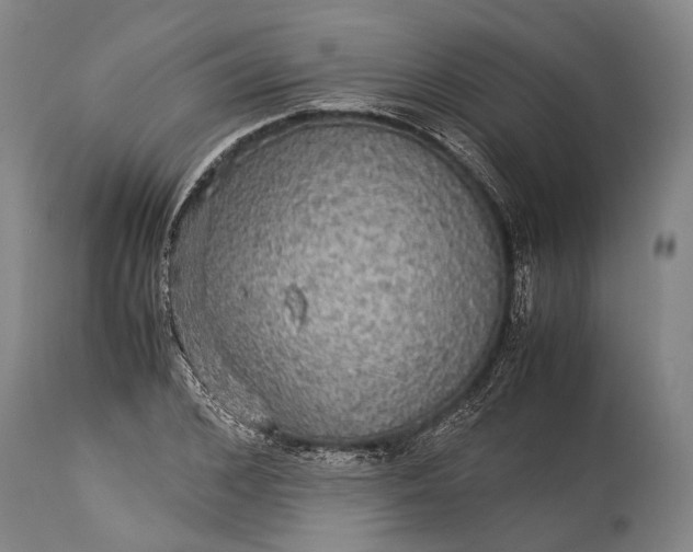 X0000115310976200911161717