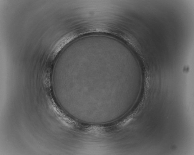 X0000115310977200911161717