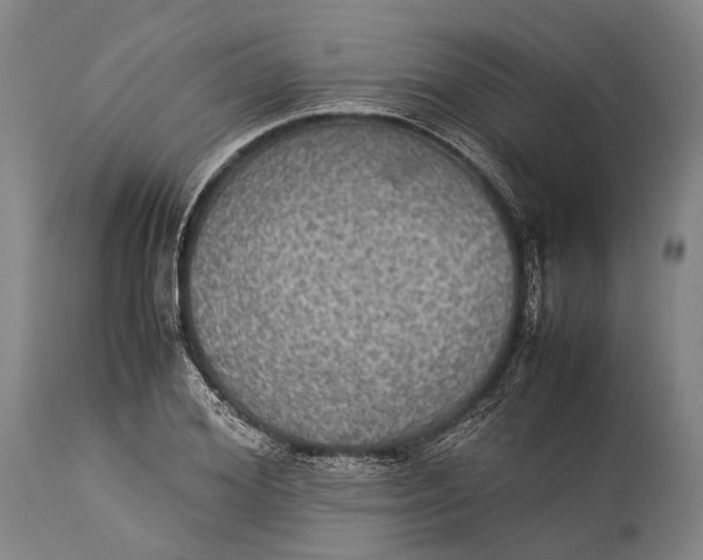 X0000115310980200911161717