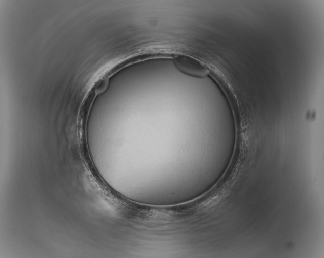 X0000115310981200911161717