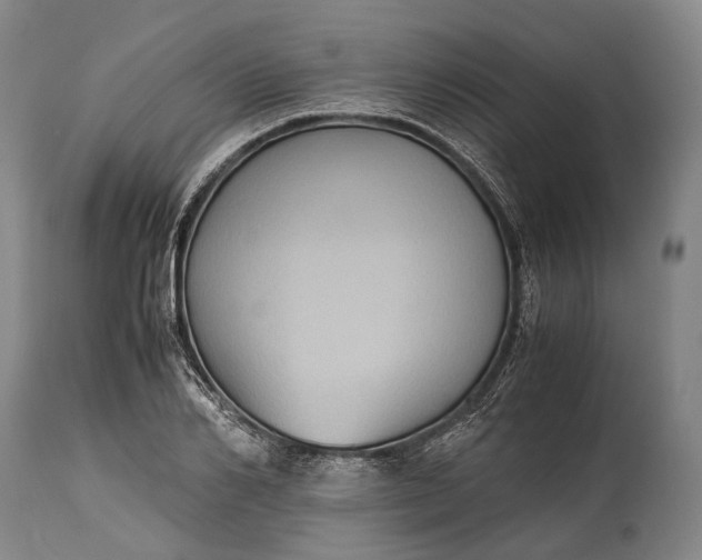 X0000115310982200911161717