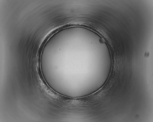 X0000115310984200911161717