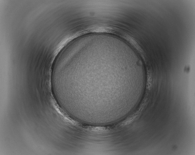 X0000115310986200911161717