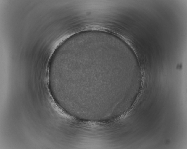 X0000115310987200911161717