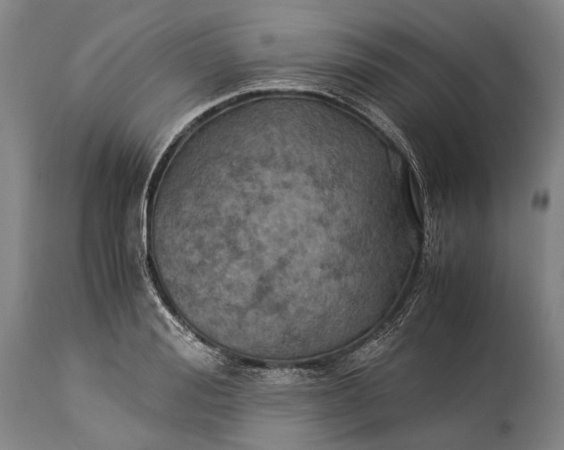 X0000115310988200911161717