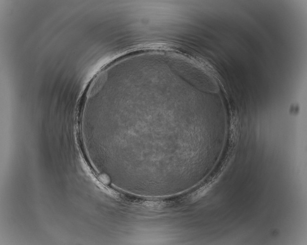 X0000115310989200911161717