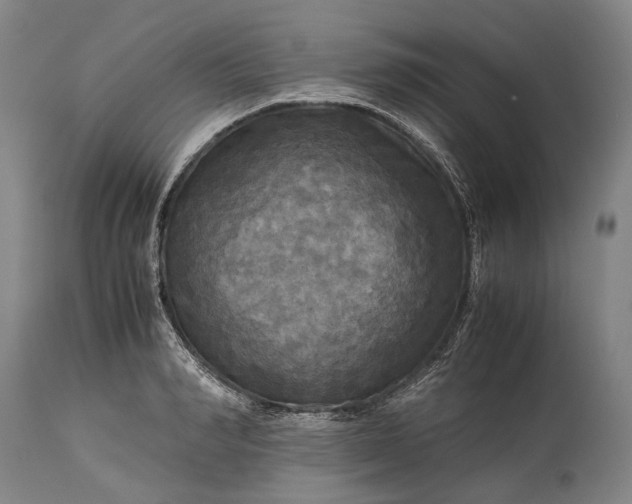 X0000115310990200911161717