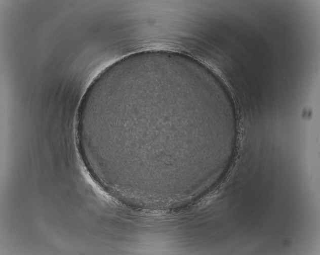 X0000115310991200911161717