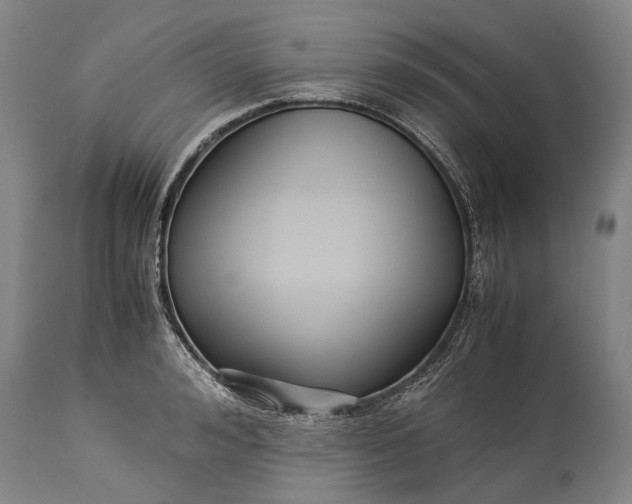 X0000115310992200911161717