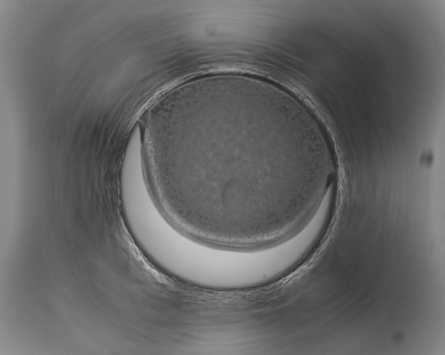 X0000115310993200911161717