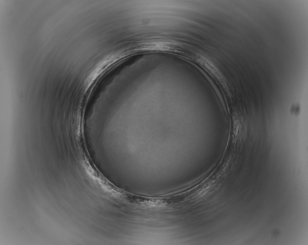 X0000115310994200911161717