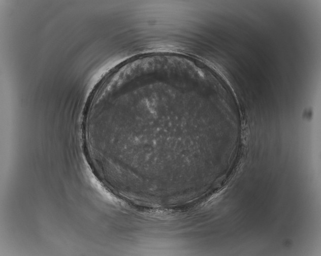 X0000115310995200911161717