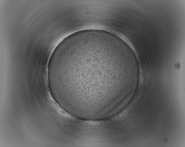 X0000115310996200911161717