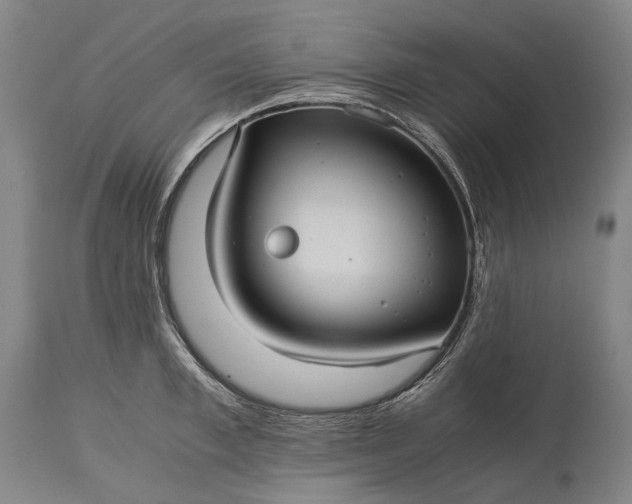 X0000115310997200911161717