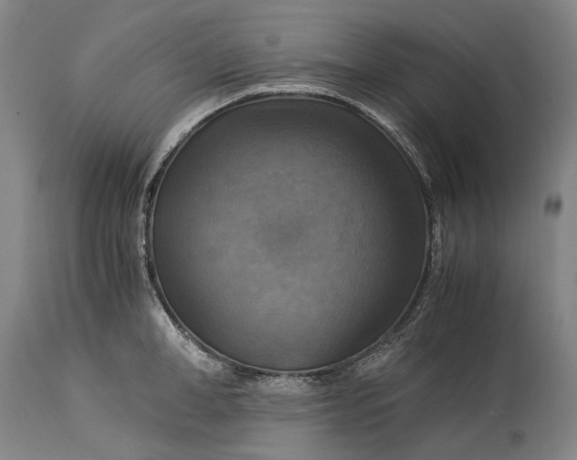 X0000115310998200911161717