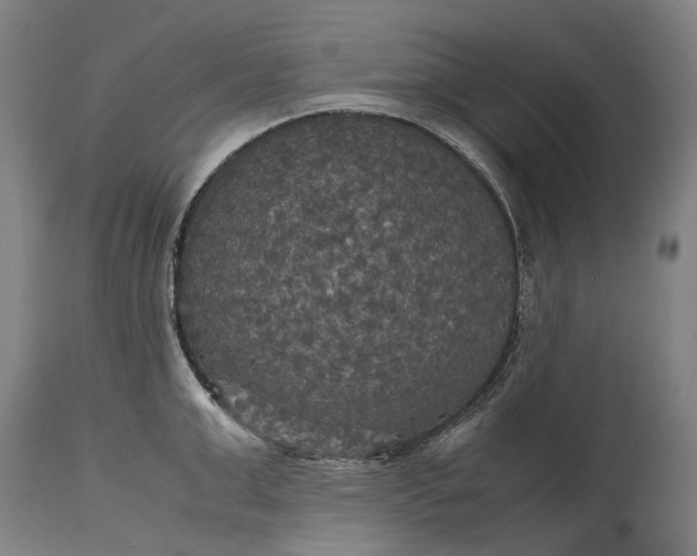 X0000115310999200911161717