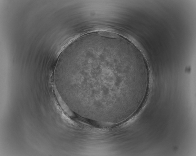 X0000115311001200911161717