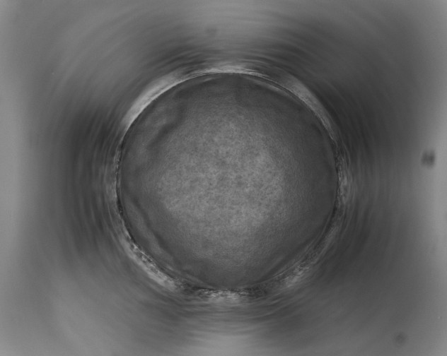 X0000115311002200911161717