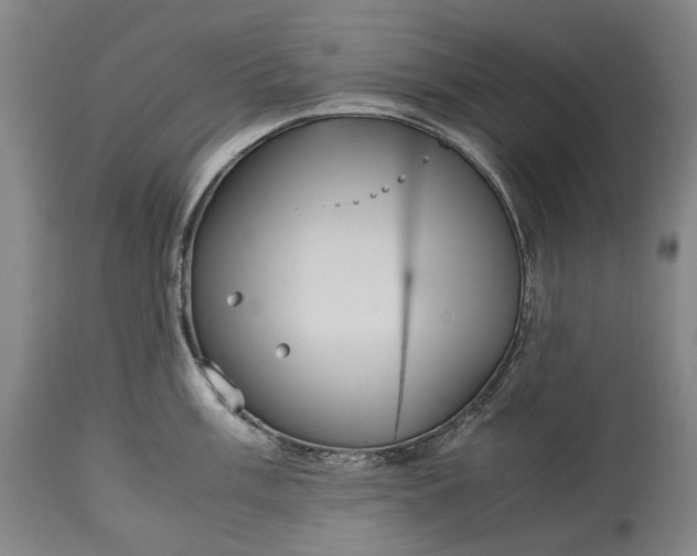 X0000115311003200911161717