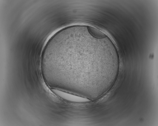 X0000115311004200911161717