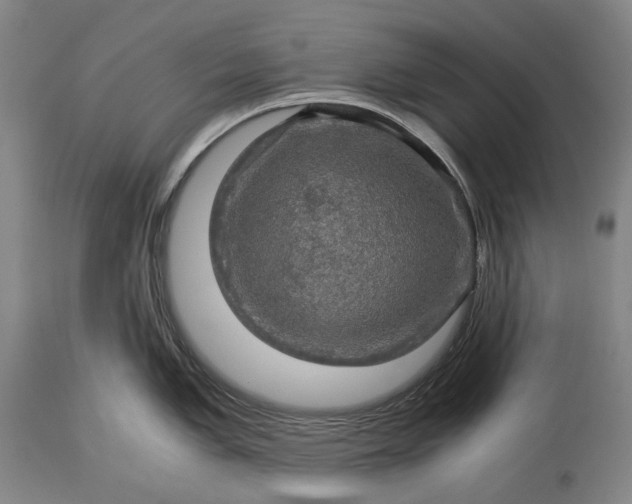 X0000115311005200911161717