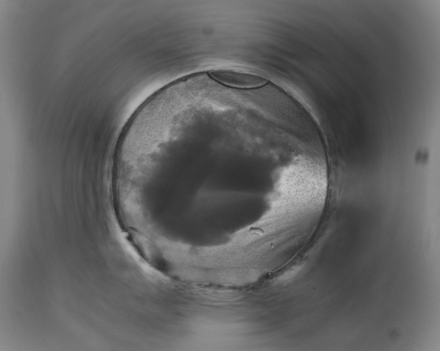 X0000115311007200911161717