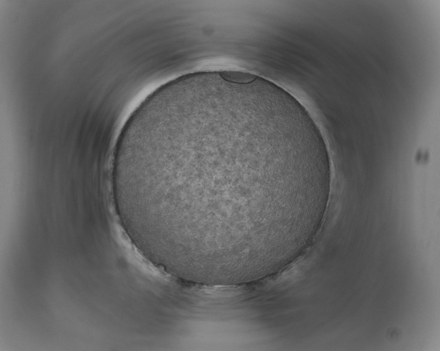 X0000115311008200911161717