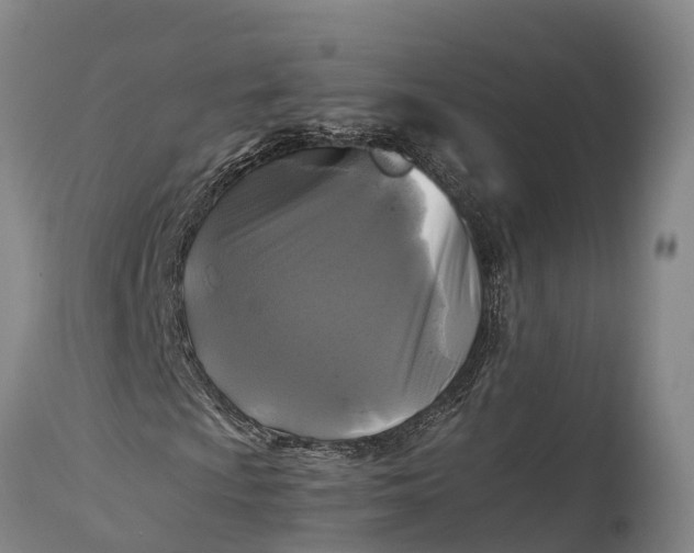 X0000115311009200911161716